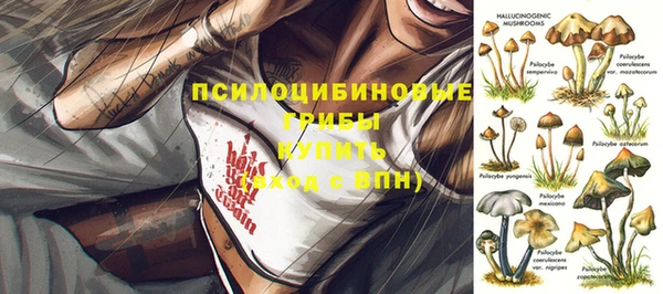прущий лед Алексеевка